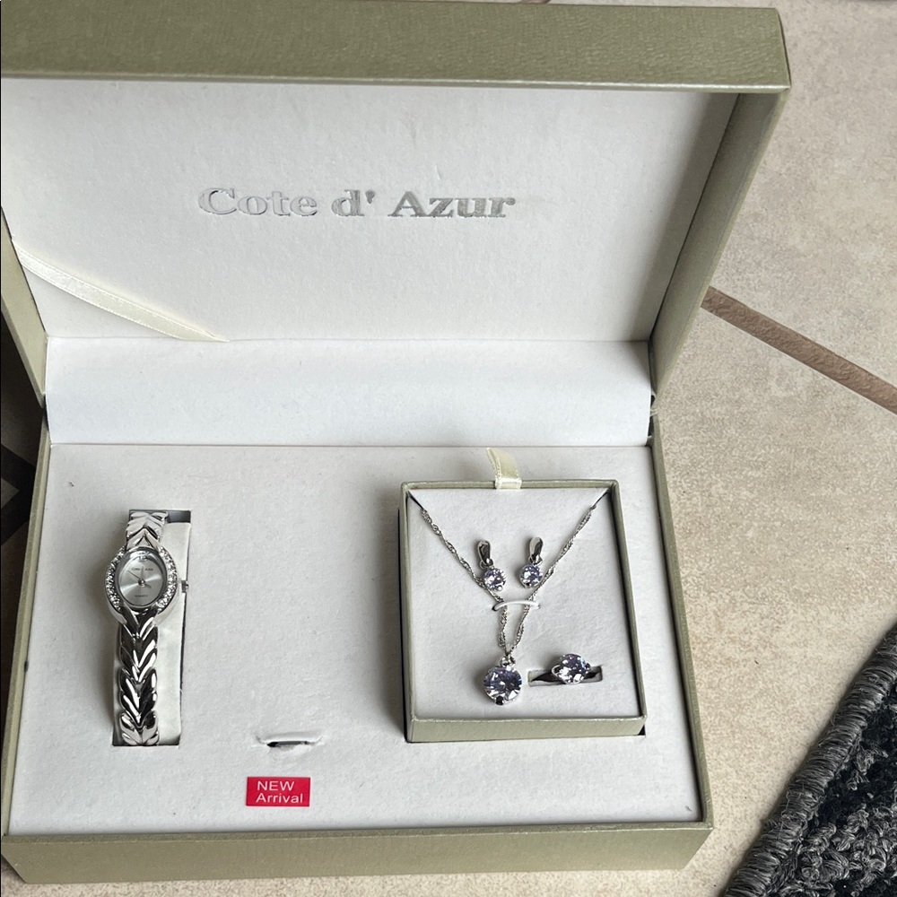 Silver and Purple Jewelry Set